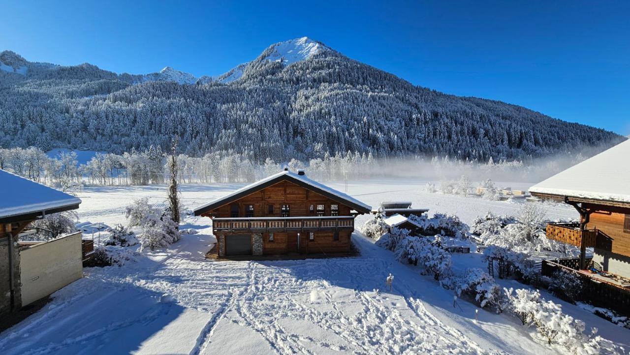 Demi-Chalet Vadel La Panthiaz 15 Pers 5 Chambres Abondance Eksteriør bilde