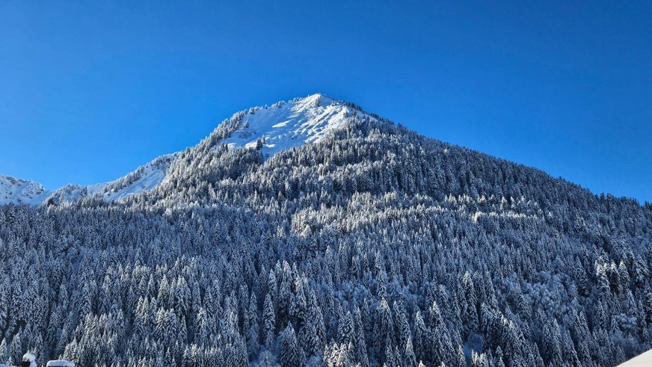 Demi-Chalet Vadel La Panthiaz 15 Pers 5 Chambres Abondance Eksteriør bilde