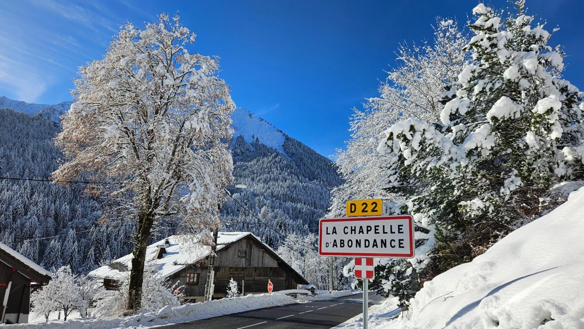 Demi-Chalet Vadel La Panthiaz 15 Pers 5 Chambres Abondance Eksteriør bilde