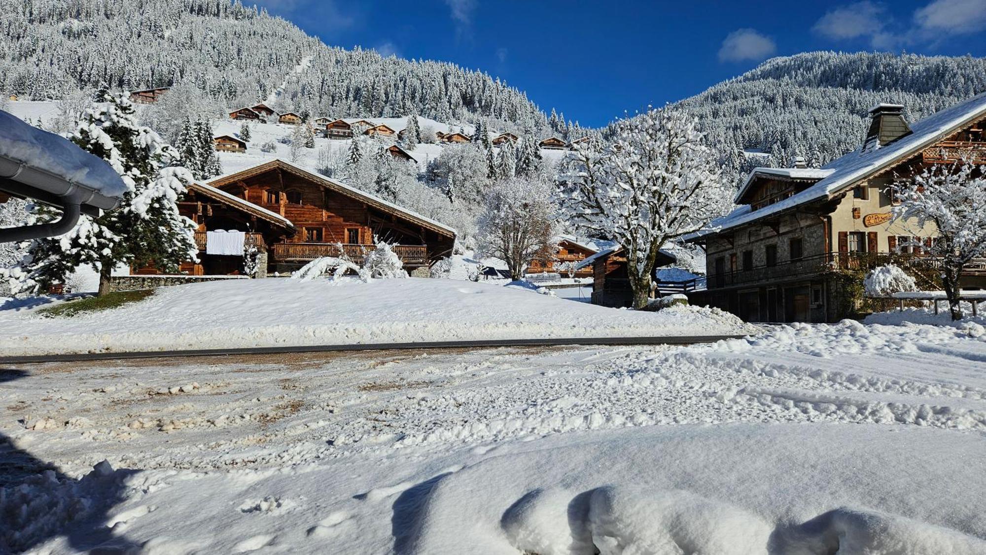 Demi-Chalet Vadel La Panthiaz 15 Pers 5 Chambres Abondance Eksteriør bilde